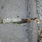 Streetview 002